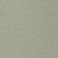 Ковролин Radici Oceania Agdve 2403 фото 1 | FLOORDEALER